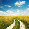 road through the fields