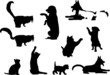 Cani e gatti