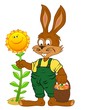 Osterhase mit Sonnenblume und Eierkorb