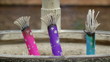 Close-up of incense burning at Senso-Ji Temple in Tokyo, Japan Close-up of incense burning at Senso-Ji Temple in Tokyo, Japan