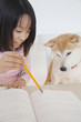 勉強をする女の子と見守る柴犬