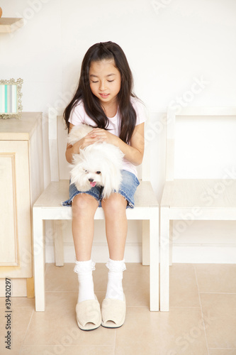 Photo: チワマルを膝に乗せる女の子 チワマルを膝に乗せる女の子