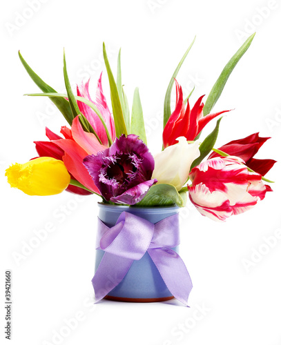 Photo: tulips tulips