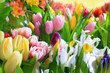 The background of colorful flowers The background of colorful flowers
