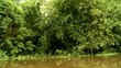 Amazonas Nebenfluß