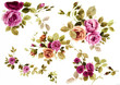 Color illustration of flowers in watercolor paintings