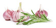 Spices garlic, rosemary