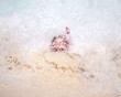  Drowning Snorkler