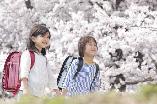 Photo: 桜の下で手を繋いで歩く小学生男女 桜の下で手を繋いで歩く小学生男女
