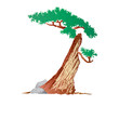 An illustration of half-dead tree
