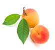 Apricot.
