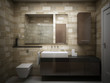 bathroom in modern style