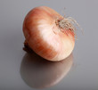 Fresh onion.