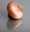 Fresh onion.