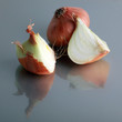 Fresh onion.