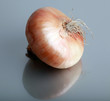 Fresh onion.