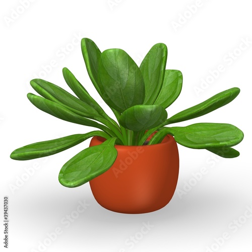 Illustration: 3d render of kalanchoe thyrisflora 3d render of kalanchoe thyrisflora