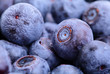 blueberry blueberry