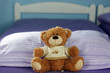 Teddy