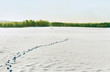 Stamp on a land.