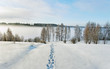 Way to the river Daugava.