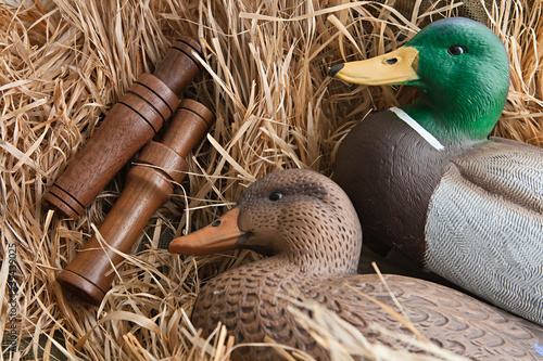 Photo: duck decoy with stuffed and calls duck decoy with stuffed and calls
