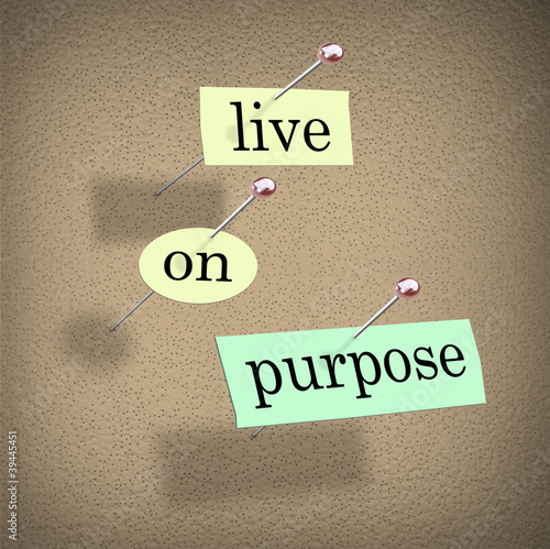 Ilustración: Live on Purpose Words on Bulletin Board Fulfilling Life Live on Purpose Words on Bulletin Board Fulfilling Life