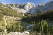 Mountainous
