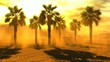 Palm trees on desert