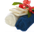 cleaning products of the body