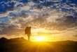 hiker in a mountains at the sunset hiker in a mountains at the sunset