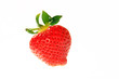 strawberry strawberry