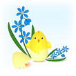 Chick hatched from an egg