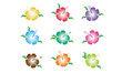 Hibiskus - Blüten