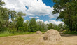 Forest meadow with haystacks
