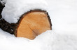 Photo: Snow-bounded log in winter forest Snow-bounded log in winter forest