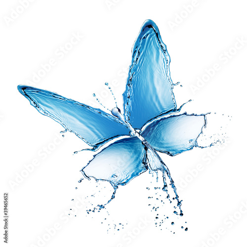 Photo: water splash buttefly isolated water splash buttefly isolated