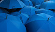 blue umbrellas