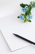 Letter paper with japanese calligraphy pen and blue flowers