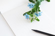 Letter paper with japanese calligraphy pen and blue flowers