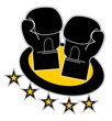 Icono boxeo