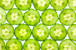 Slices of fresh Cucumber / background / back lit