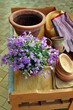 Pflanztisch im Garten mit karierten Handschuhen