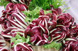 Foto: Radicchio di treviso Radicchio di treviso