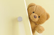 Teddy bear