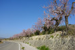 Spanish winter