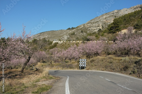 Photo: Mountain road Mountain road