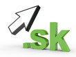 3D Domain sk mit Pfeil