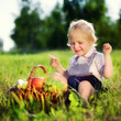 little boy with a basket of fruit little boy with a basket of fruit