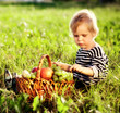 little boy with a basket of fruit little boy with a basket of fruit